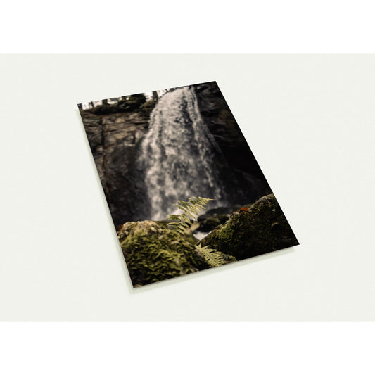 Magical contrast - set of 10 postcards with envelopes 
